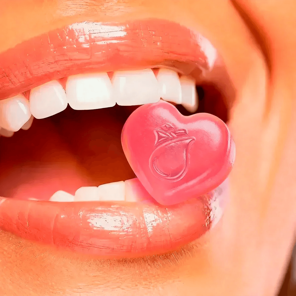 ROSABELLA_PRODUTO_002 - Rosa Latina