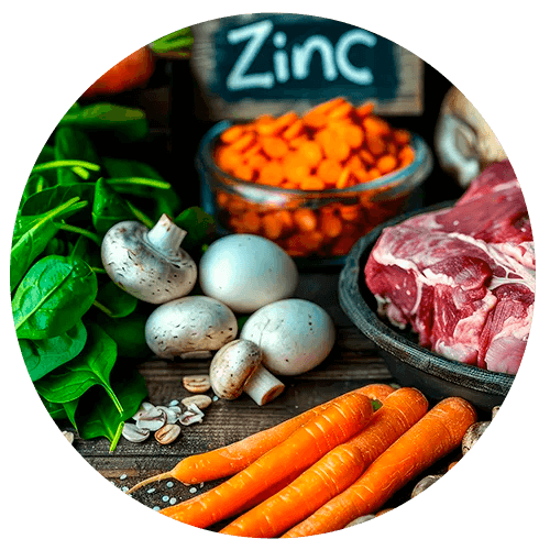 <p><strong>Zinc</strong></p>